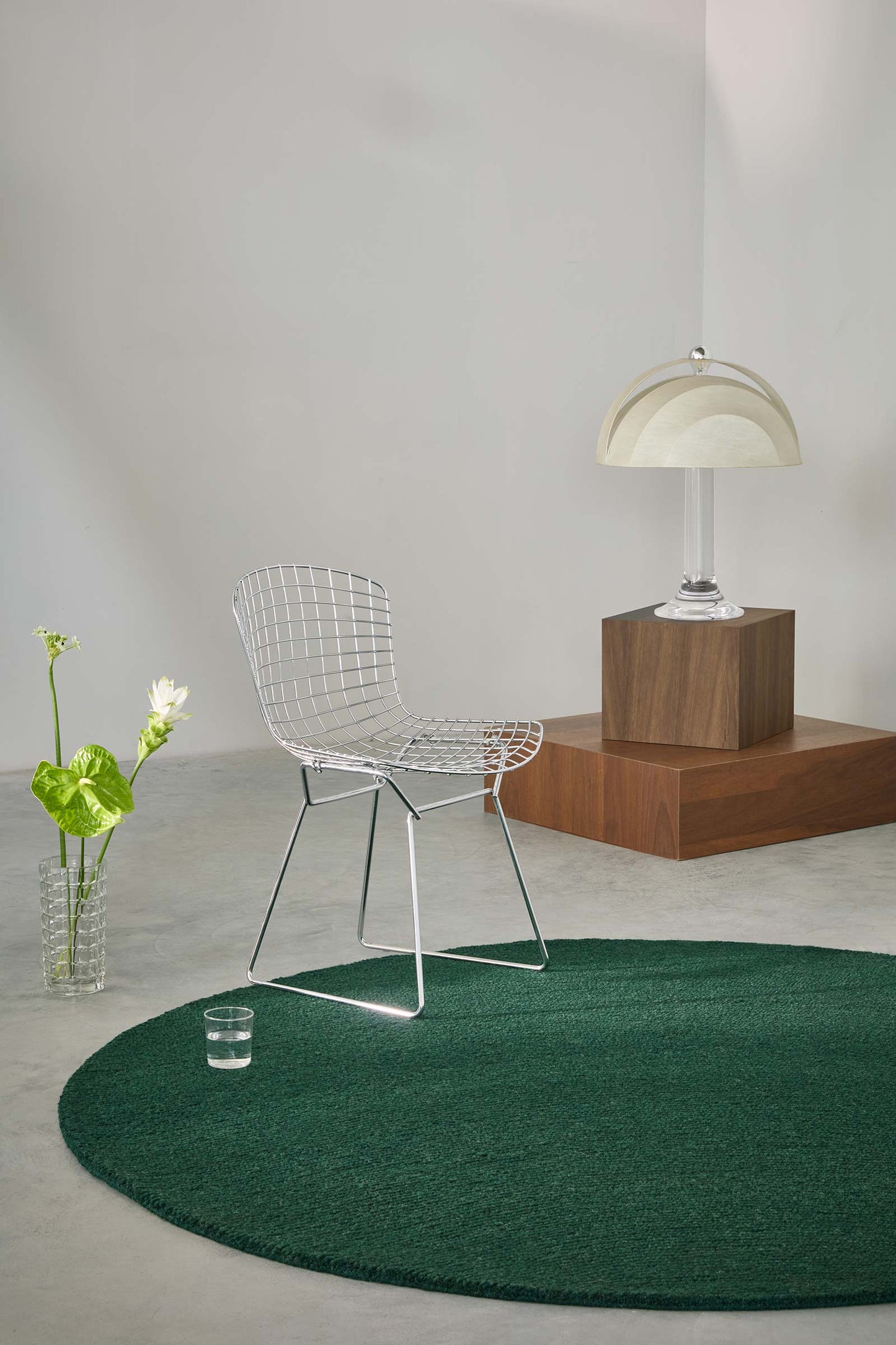 Echo Forest Solid hand tufted wool rug placed in a minimal interior highlighting natural green tone and solid design.